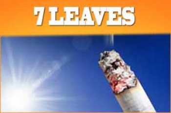 7 Leaves 1,5ml Probe eLiquid