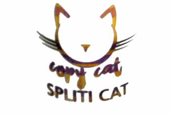 Copy Cat Spliti Cat Aroma leckeres Fruchteis verfeinert mit Vanille