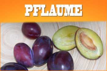 Pflaumen E Zigarette Liquid und E Zigaretten Pflaumen Aroma