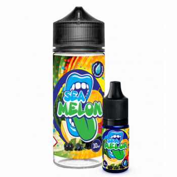 Sea Melon Aromashot 10ml - Big Mouth Fruchtmix aus Wasser- und Honigmelone, Johannisbeeren und Brombeeren