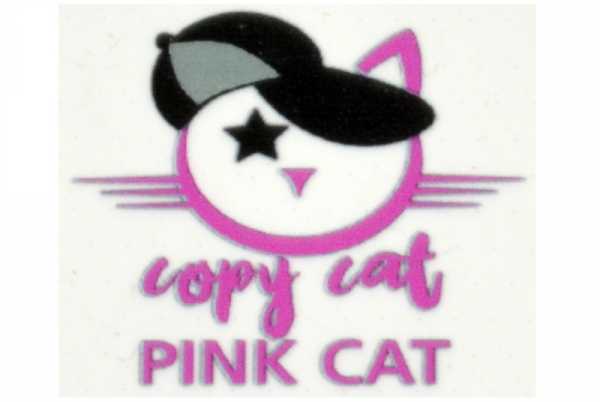 Copy Cat Pink Cat Aroma Mehr Frucht geht nicht!