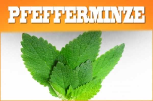 Pfefferminze Aroma 10ml