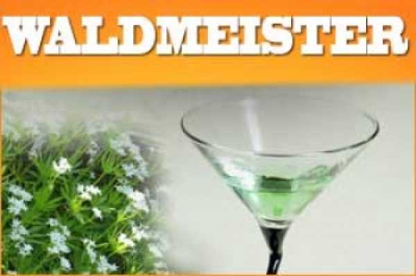 Waldmeister Aroma 10ml