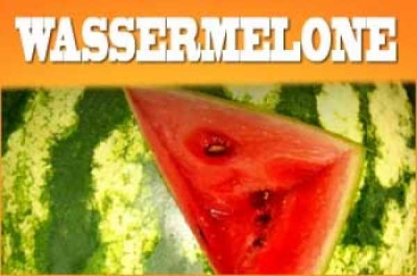 Wassermelone Aroma 10ml + Chubby 100ml Flasche