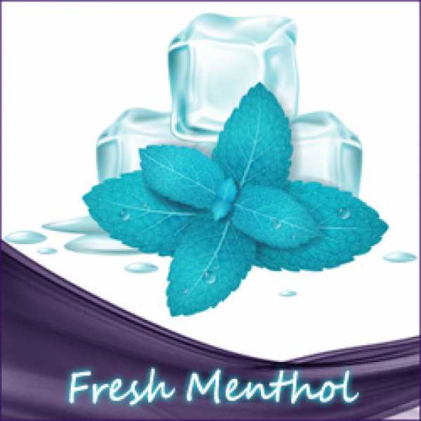 Fresh Menthol Ultrabio Liquid 10ml erfrischendes Menthol Liquid