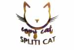 Copy Cat Spliti Cat Aroma leckeres Fruchteis verfeinert mit Vanille