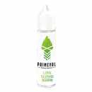 Lime Slushie Primeval Aromashot 12ml/60ml eisgekühlter Limetten Slushie