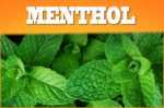 Menthol Aroma 10ml + Chubby 100ml Flasche