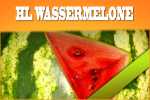 Welches ist das beste Wassermelone Liquid für die E-Zigarette?